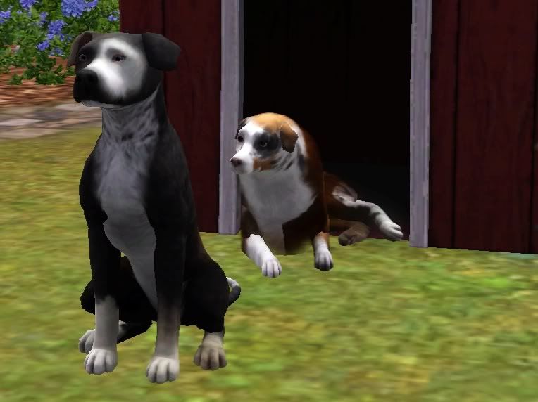 Screenshot-129.jpg