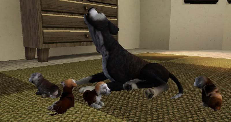 Screenshot-133.jpg