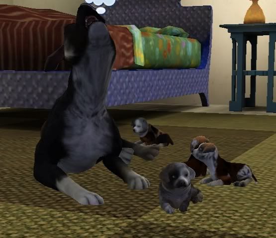 Screenshot-134.jpg