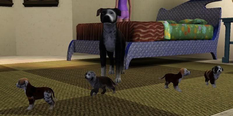 Screenshot-135.jpg