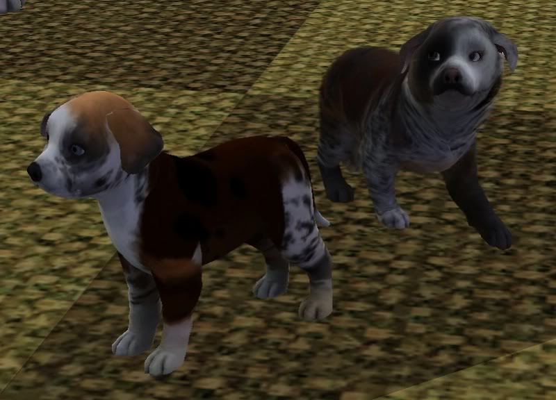 Screenshot-138.jpg