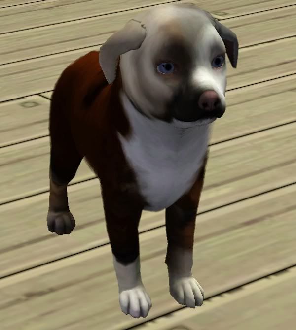 Screenshot-20-1.jpg