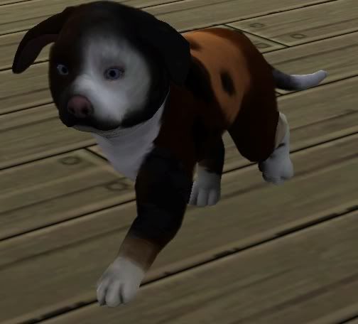 Screenshot-22-1.jpg