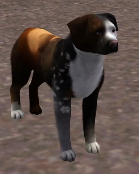 Screenshot-26.jpg