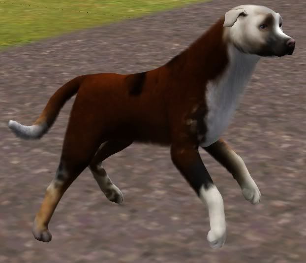 Screenshot-27.jpg