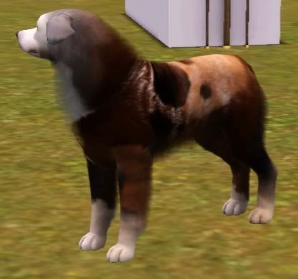 Screenshot-6-1.jpg