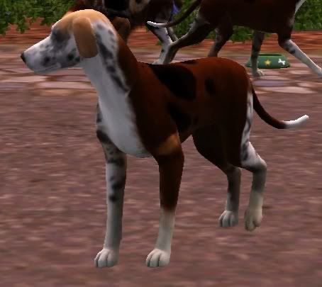 Screenshot-7-1.jpg