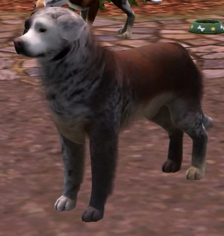 Screenshot555.jpg