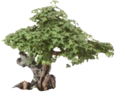 Picture:Click to zoom Picture:Click to zoom