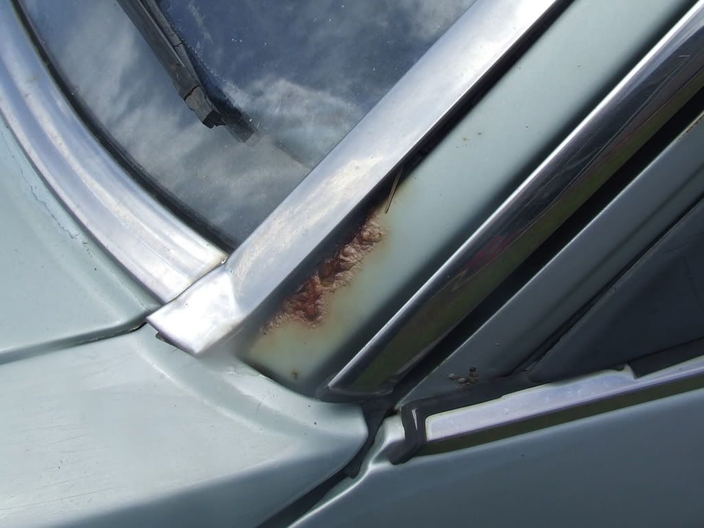 DSCF0599.jpg