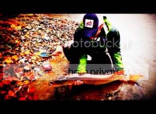 Photobucket Pictures, Images and Photos