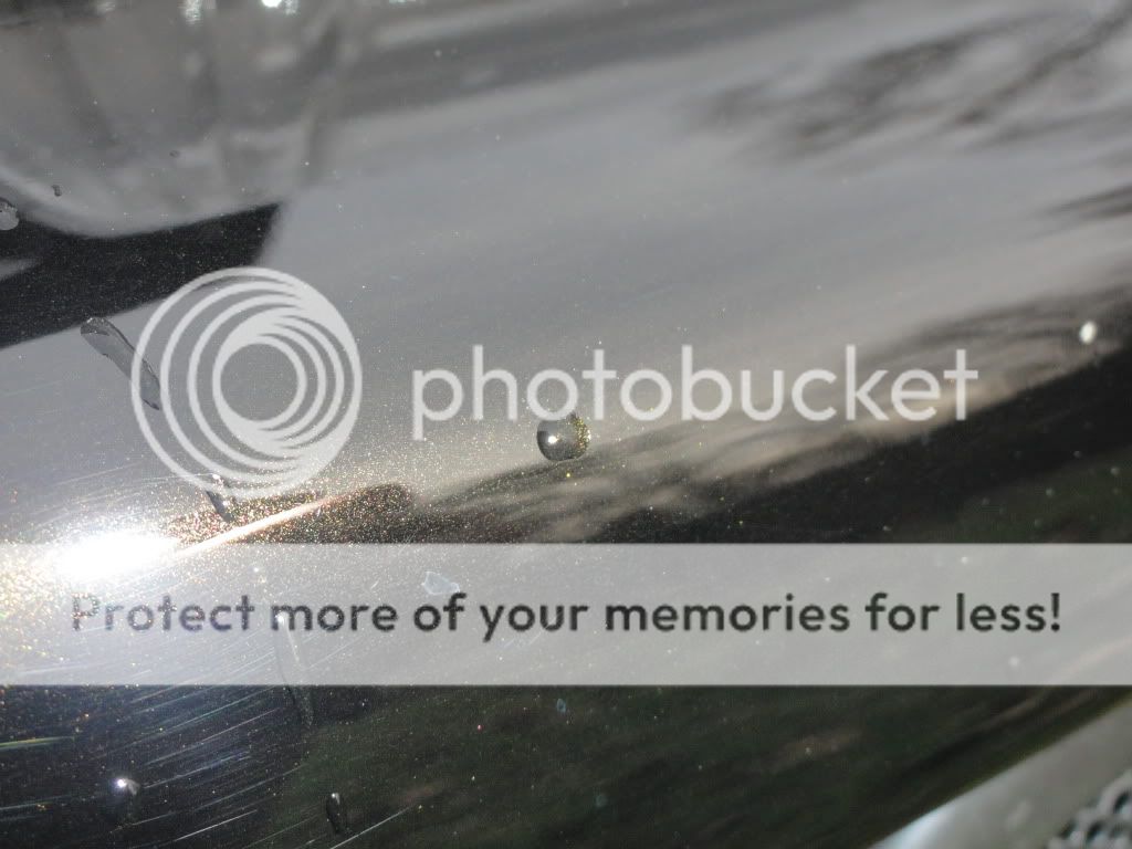 Car freshly repainted... has a strange haze? NASIOC