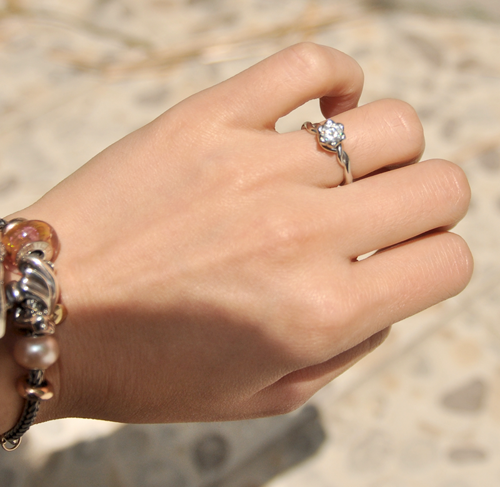 ggnikonring2